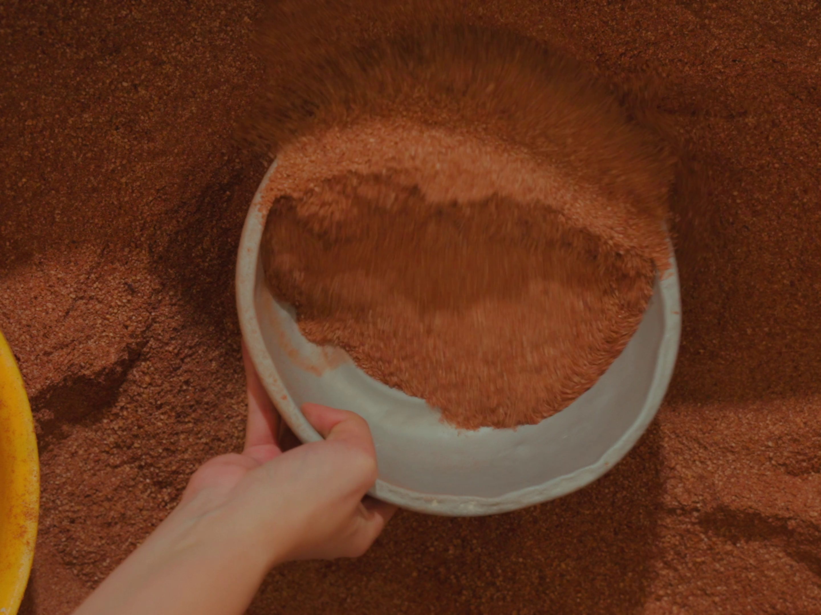 Scooping a bunch of the ground date seeds into a bowl for weighing.