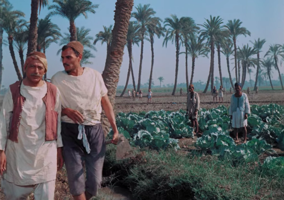 Mahmoud El-Meliguy's and Ezzat El Alaili's "The Land (1969)" characters walking in a field abundant with palm trees.