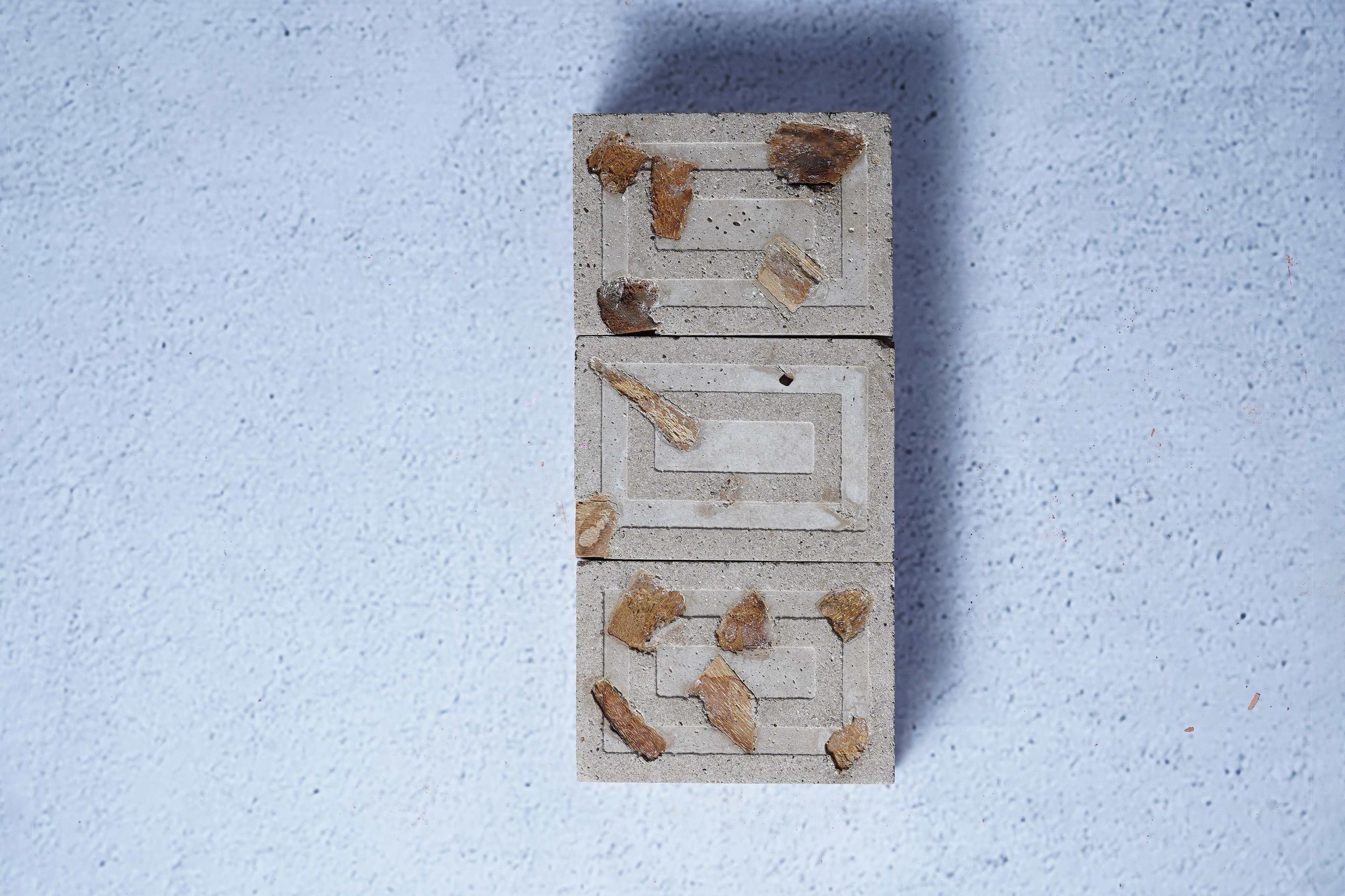 A set of 3 Datecrete Palm Frond pavers.